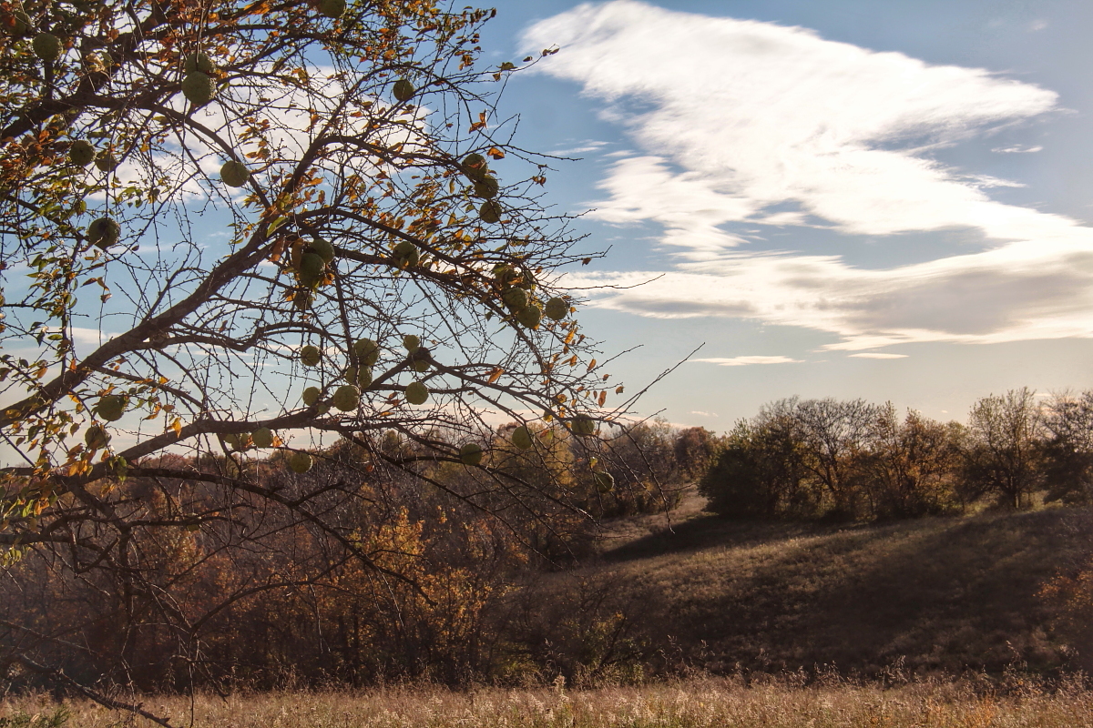 Kevin Photography, Missouri